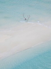 沐瑶