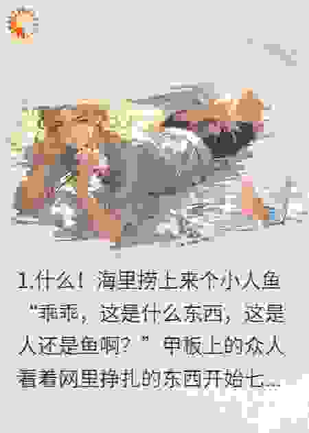 大佬的粉色人鱼